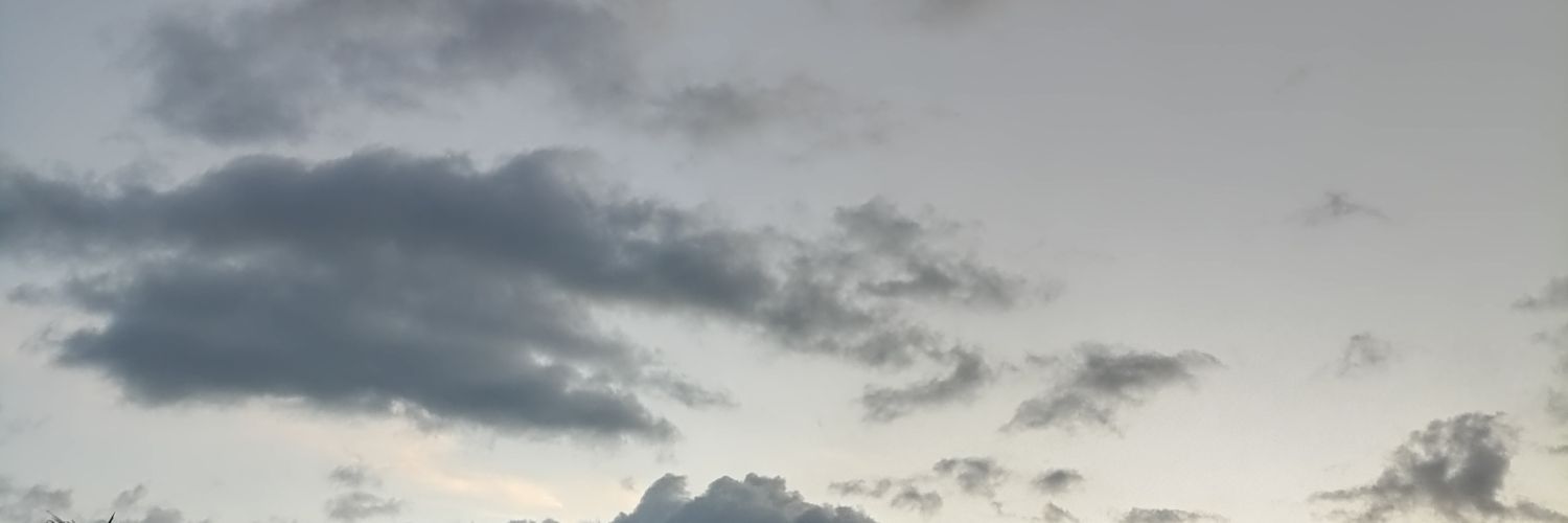bhercamargo's profile banner image