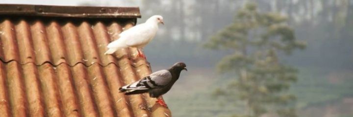 KartiniApr's profile banner image