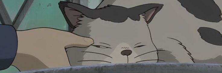 triz banner