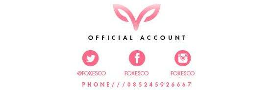 FoxesCo's profile banner image