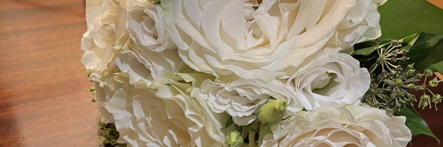 budounoturu's profile banner image