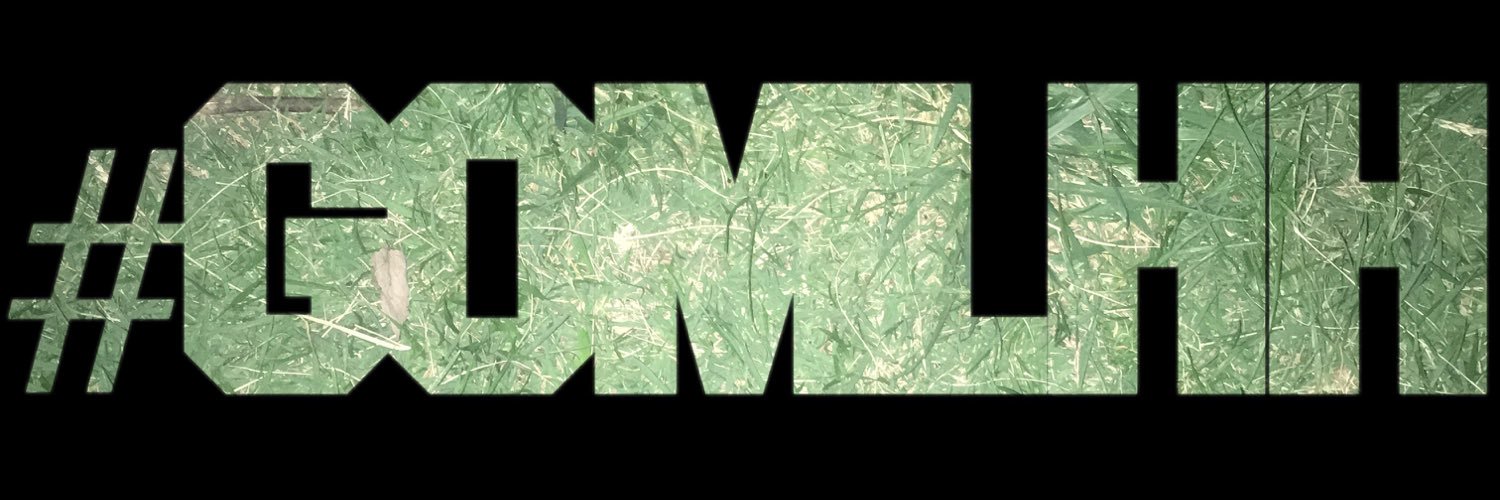 GOMLHH's profile banner image