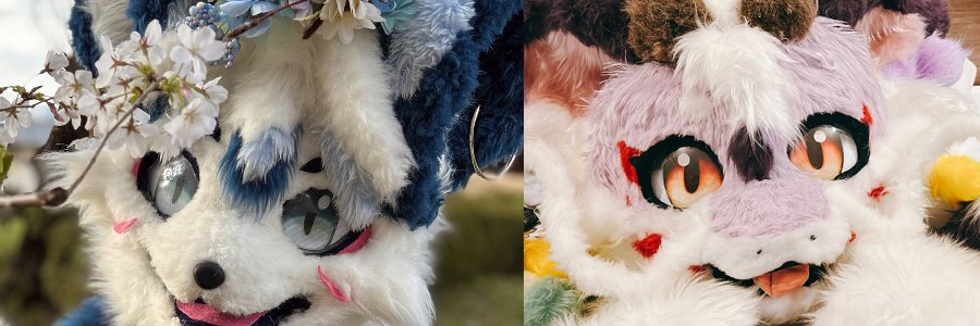 白狐（びゃっこ）🦊🐉🃏⌨️ banner