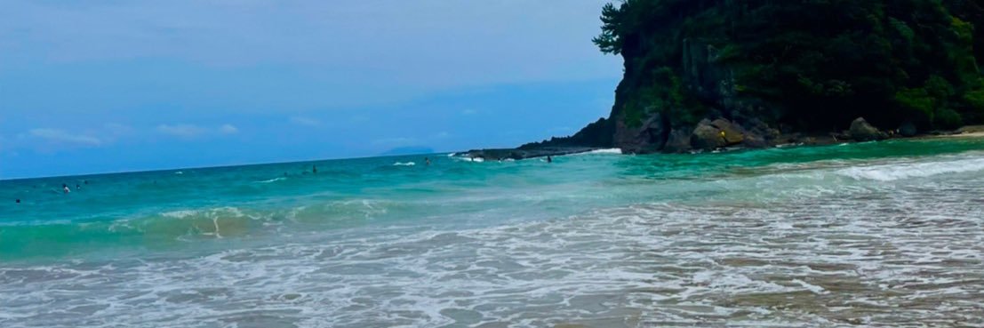 panda0582's profile banner image