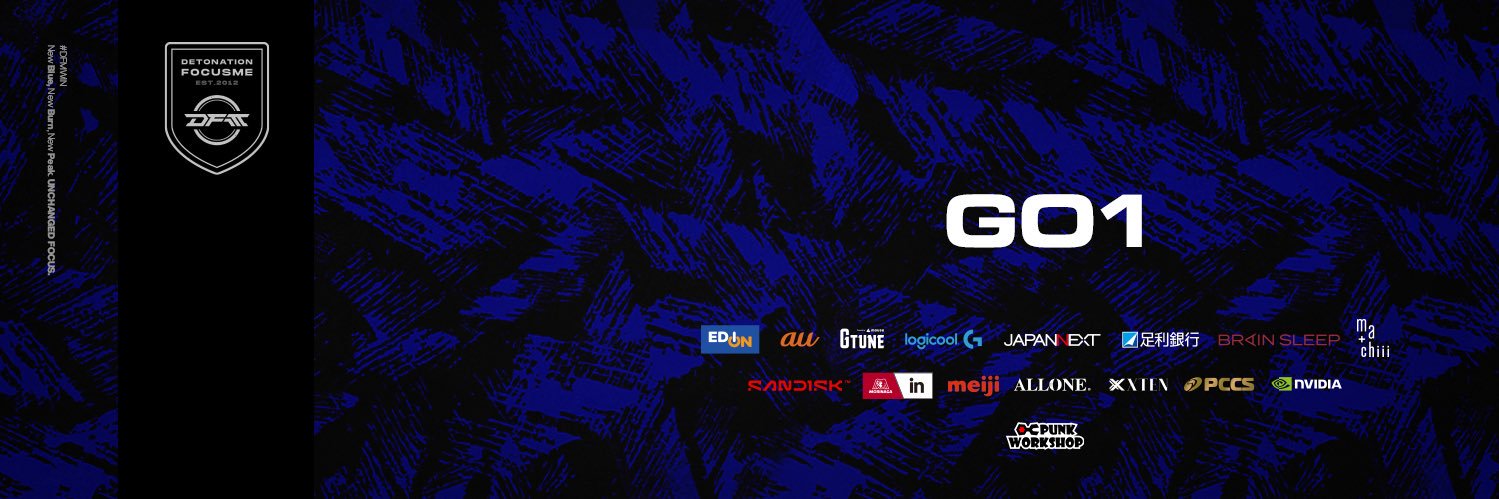 DFM/PWS / GO1 banner