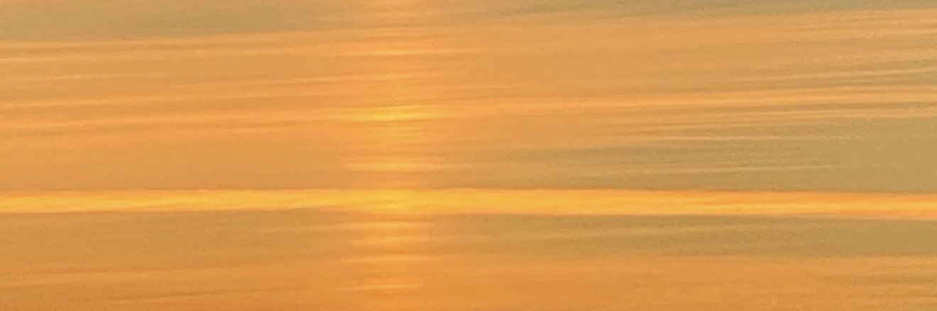 LorenzoLicitra's profile banner image