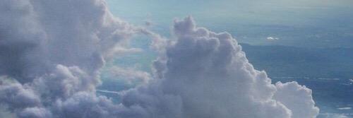 __thedove's profile banner image