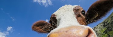 FavourablyRS's profile banner image