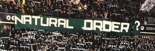 webo banner