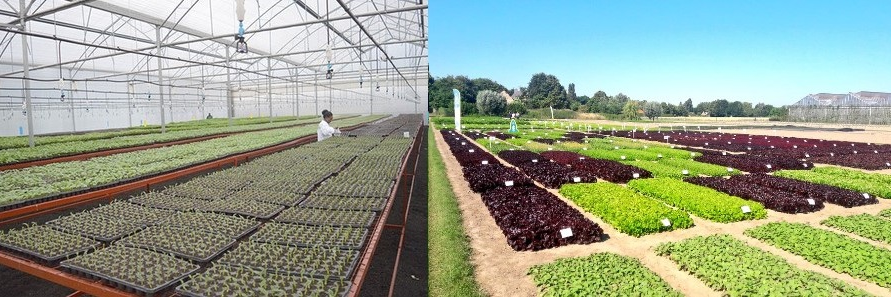 Maarten Hermus banner