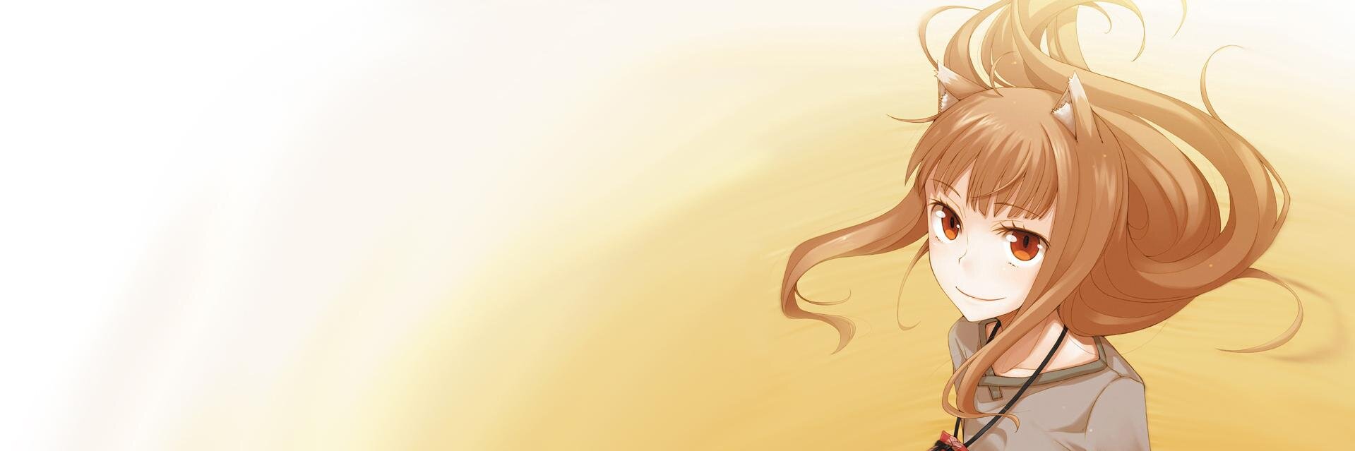 akidesu04's profile banner image