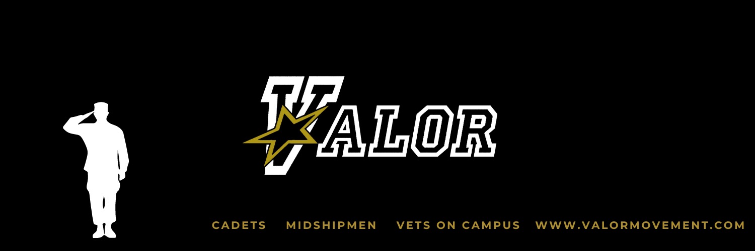 Valor banner