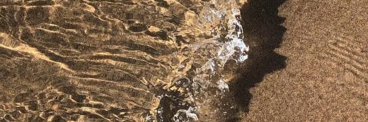 kyellowww's profile banner image