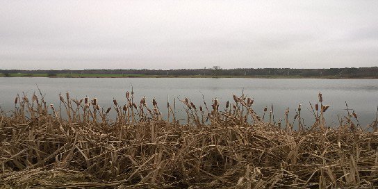 Берасцеец banner