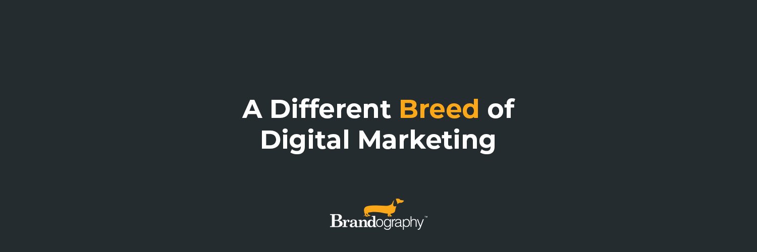 brandography's profile banner image