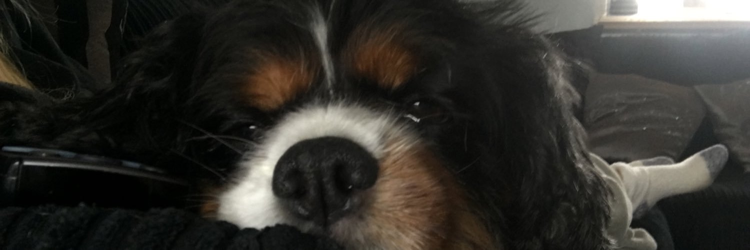alicepinnock's profile banner image