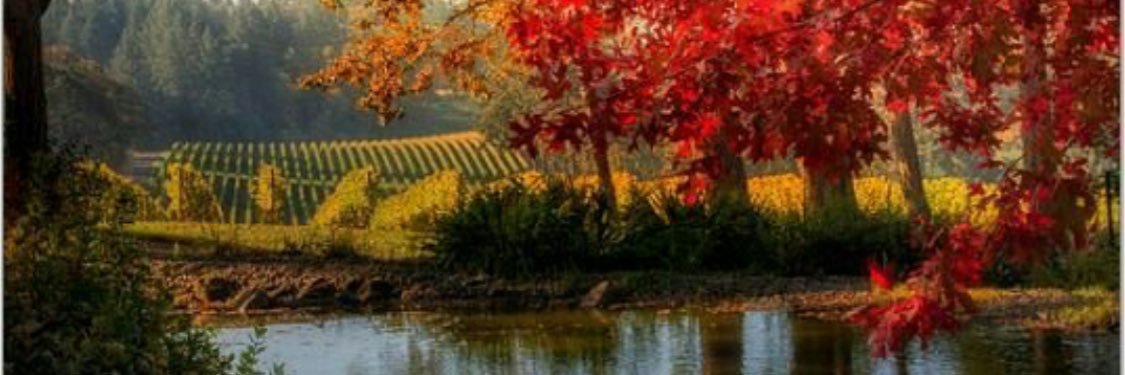 simplygrace75's profile banner image