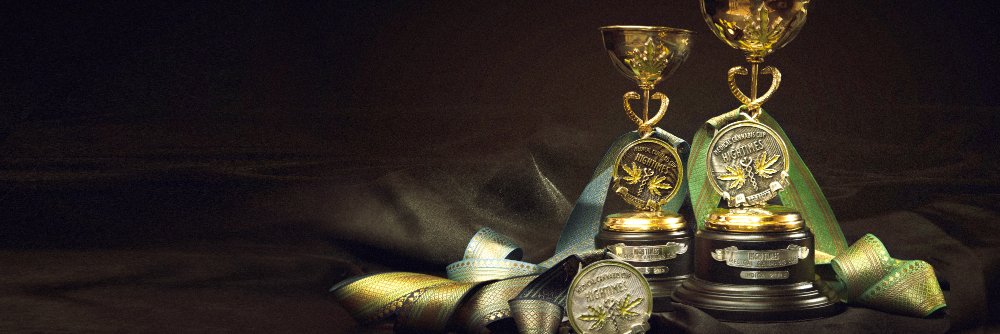 luxmeds's profile banner image