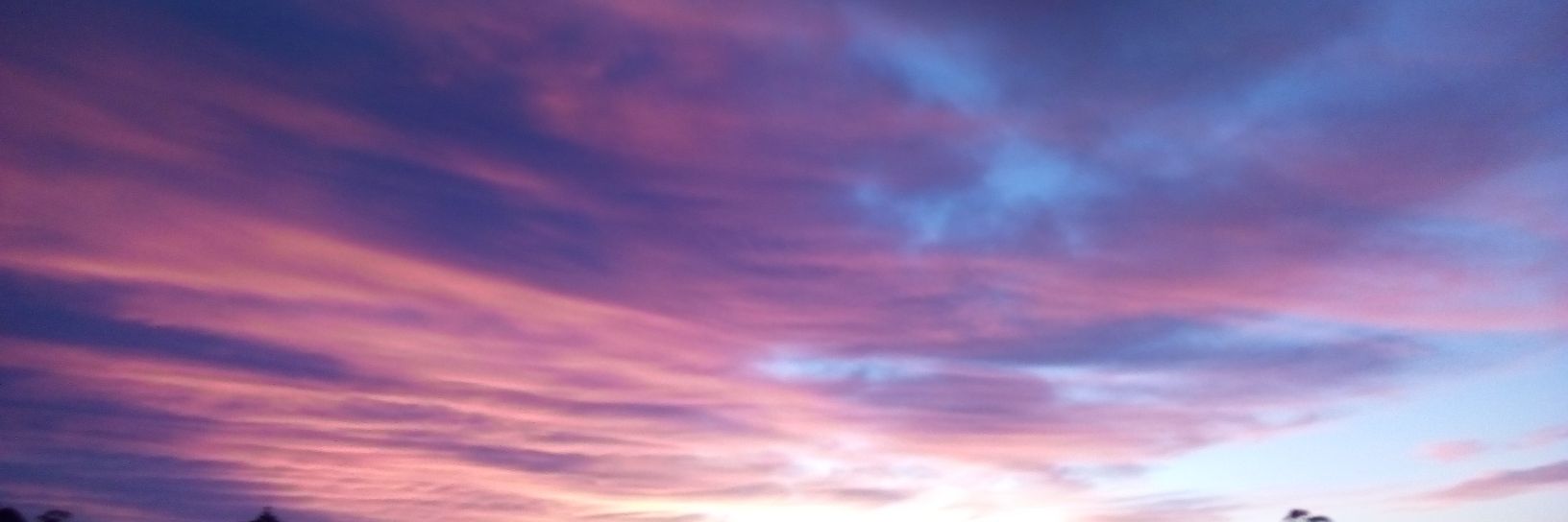 Alf banner