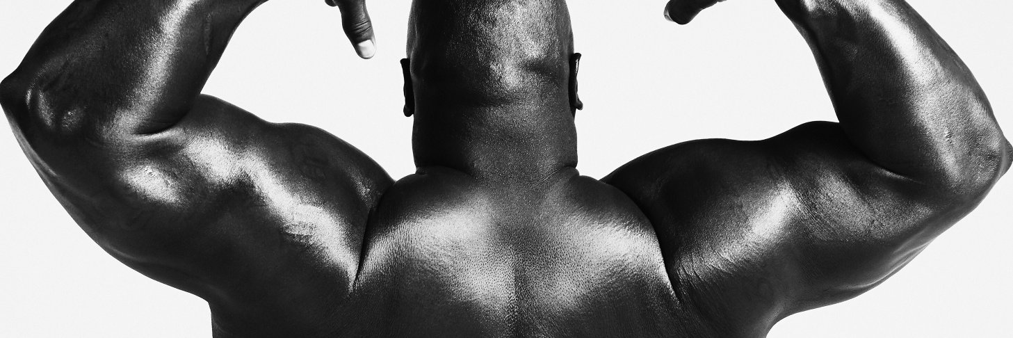 wilfork75's profile banner image