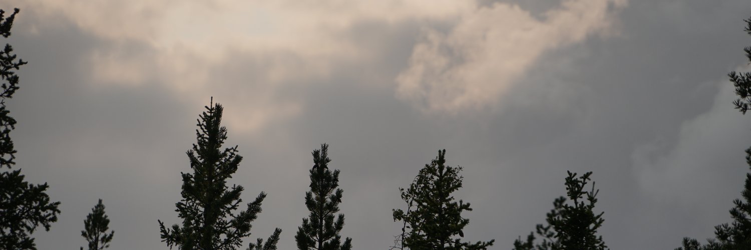 Sune banner