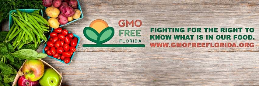 GMOFFL's profile banner image