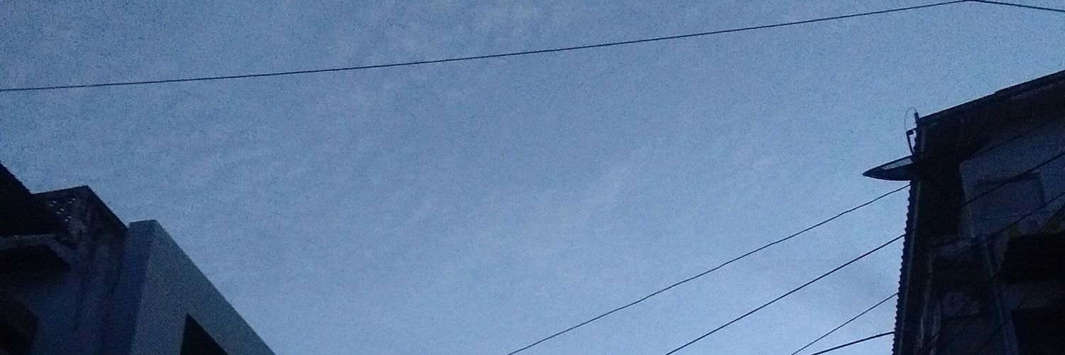 z_lamour's profile banner image