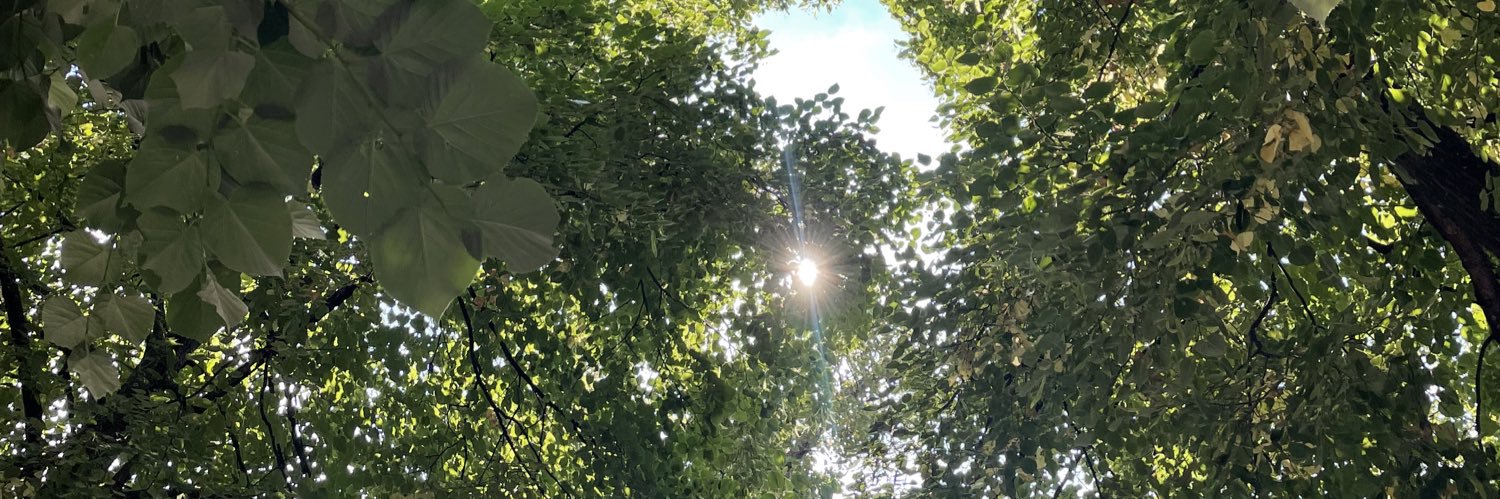 christacastro's profile banner image