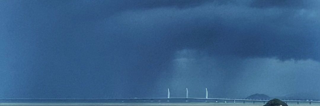 Dogsinthetrees's profile banner image