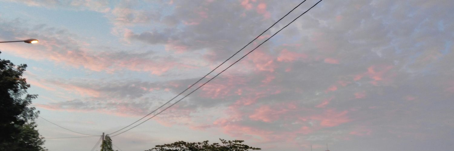 NovRatnaa's profile banner image