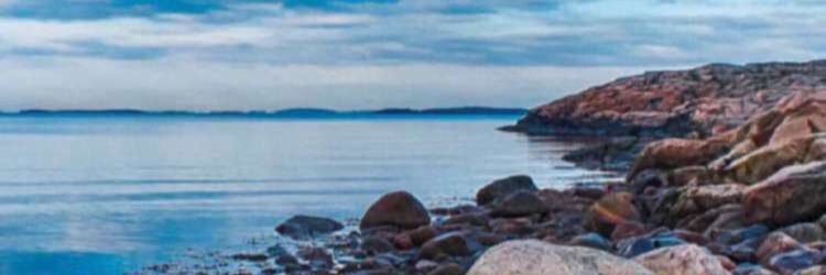 sah22221's profile banner image
