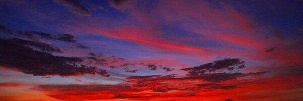 rezachandika Profile Banner