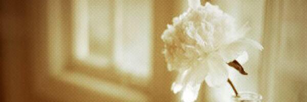 4890Fa's profile banner image