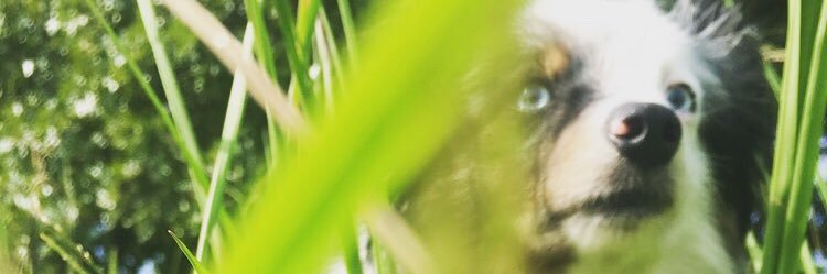 TaylorGreig1's profile banner image