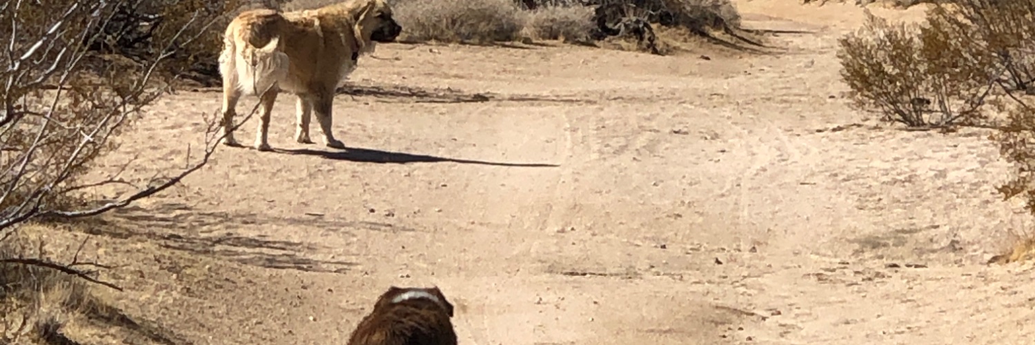 clay4me2's profile banner image