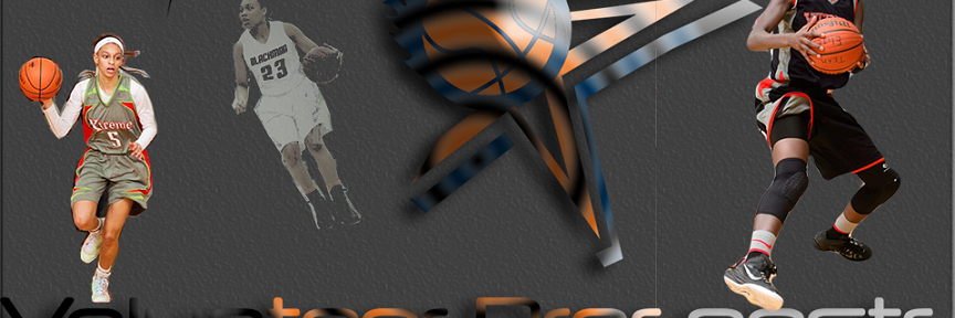 volspecs's profile banner image