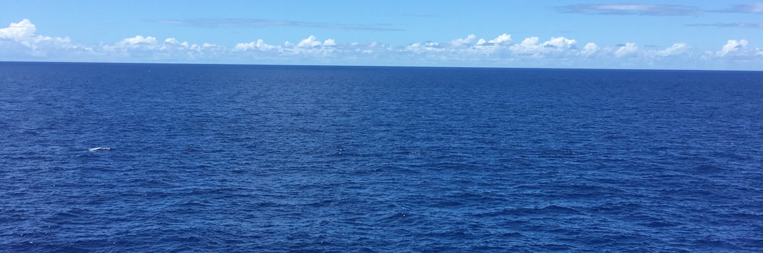 wooowiss's profile banner image
