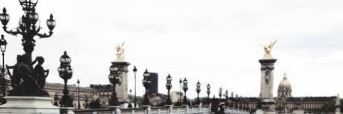 shcuxin's profile banner image