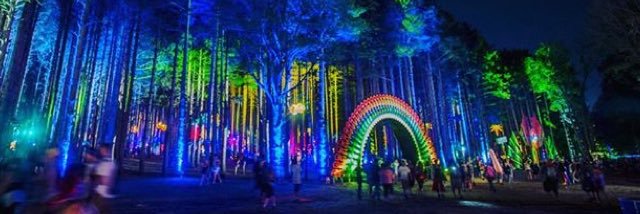 Electric Forest Fam banner