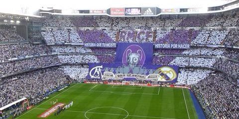 Vikingo banner