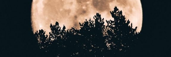 saou917's profile banner image
