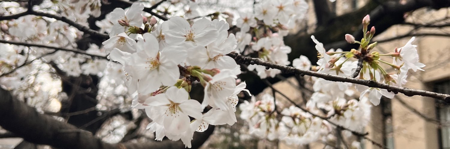 Qeiiyy's profile banner image