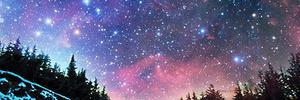 Shereen_offic's profile banner image