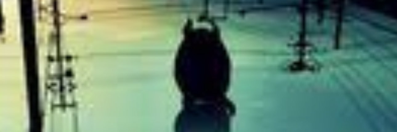 sayu_204's profile banner image