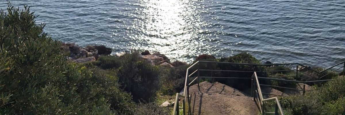 ArzuSevim's profile banner image