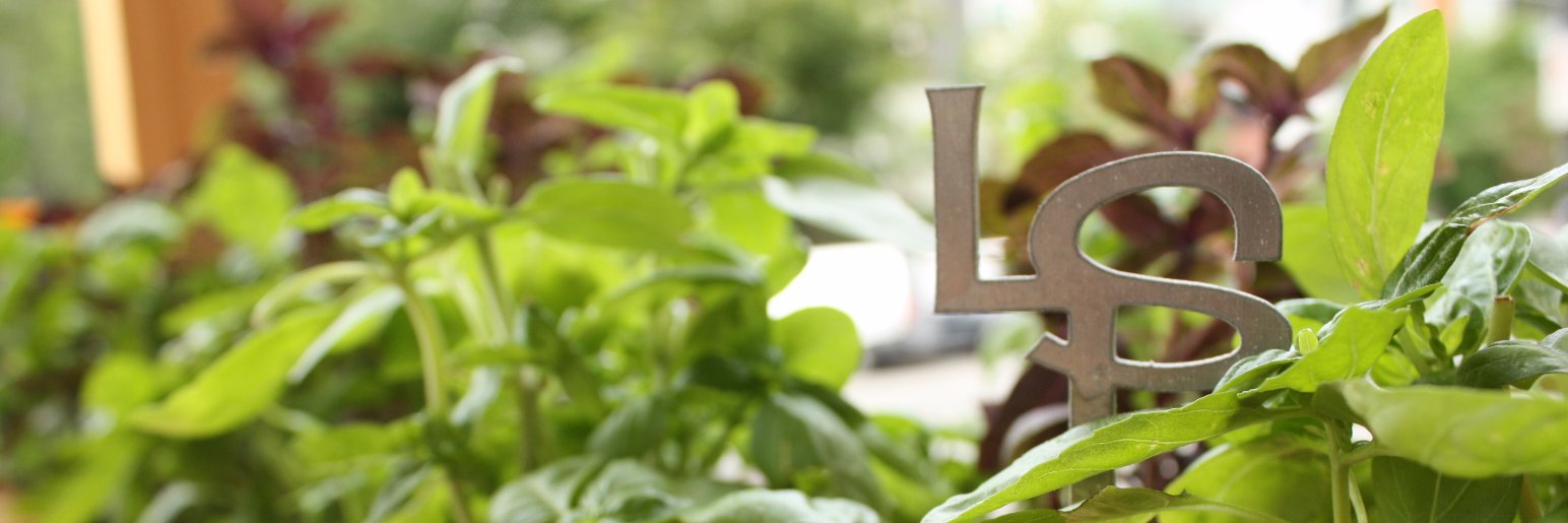 LifeSpaceGarden's profile banner image