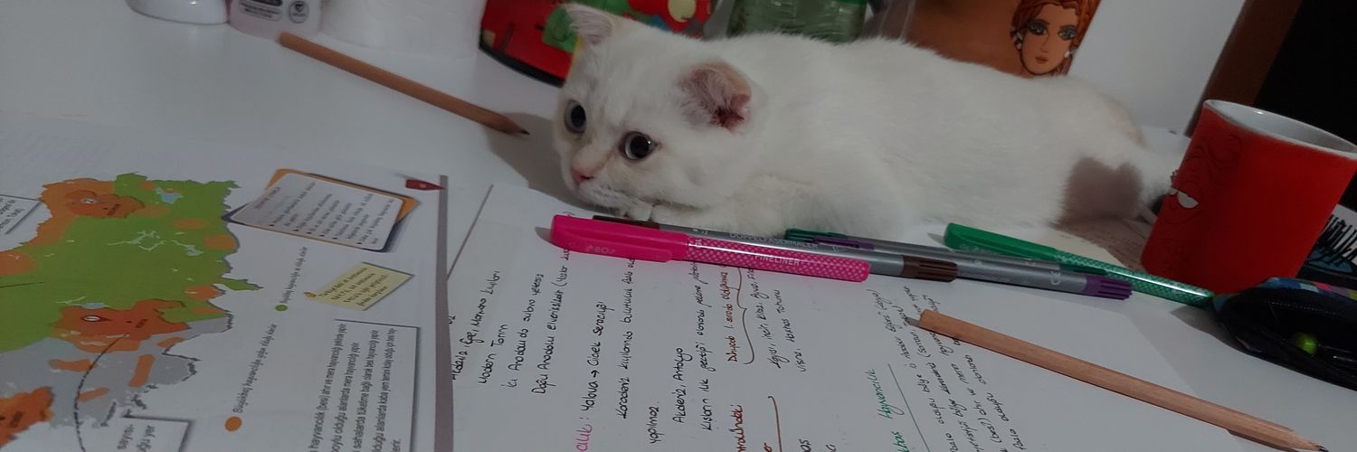buseozgur97's profile banner image