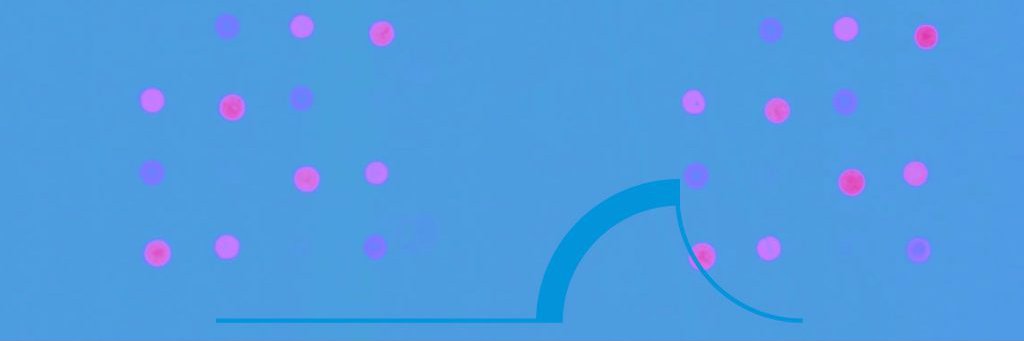 biametrics's profile banner image