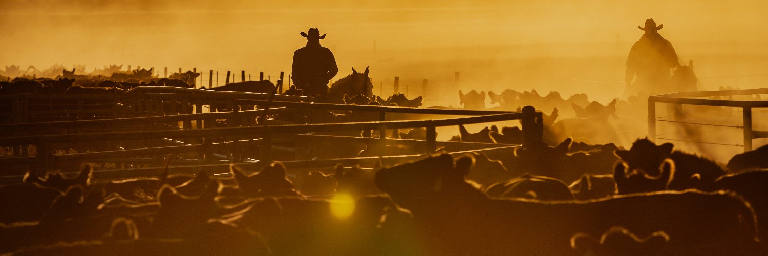 LPC_Members's profile banner image