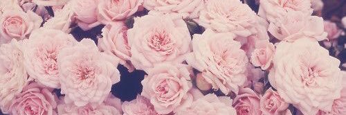 _Khadija__'s profile banner image